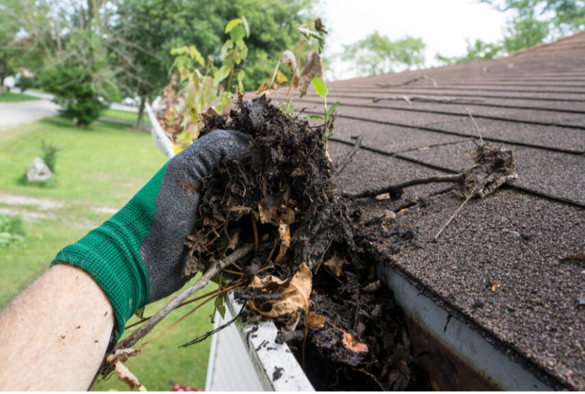 GUTTER CLEANING